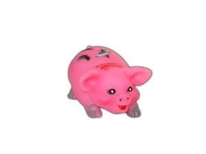 Squeaky Pig